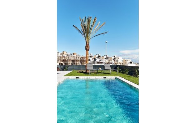 Nowy budynek - Villa - San Miguel de Salinas