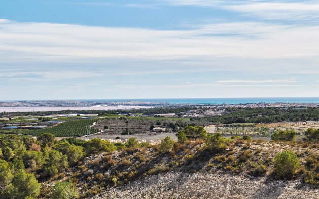 Nowy budynek - Villa - San Miguel de Salinas