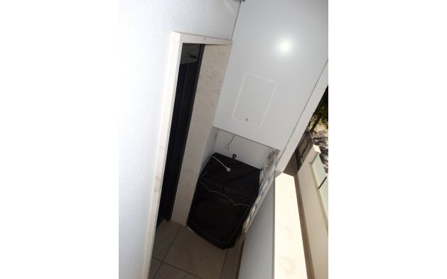 New Build - Bungalow - Pilar de la Horadada