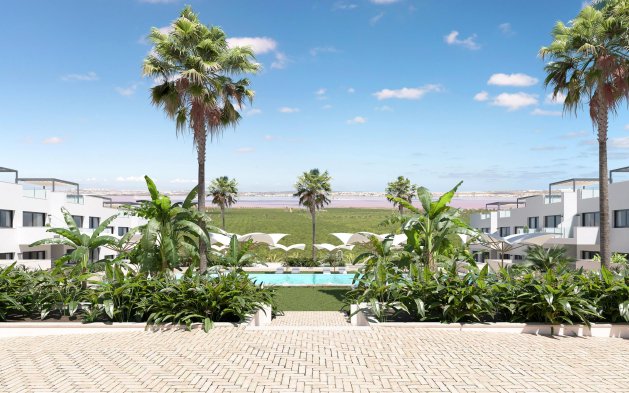 Nowy budynek - Bungalow - Torrevieja
