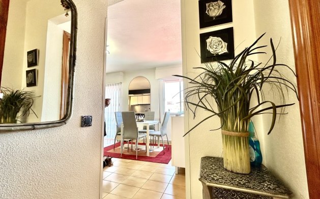 Reventa - Apartamento / piso - Torrevieja