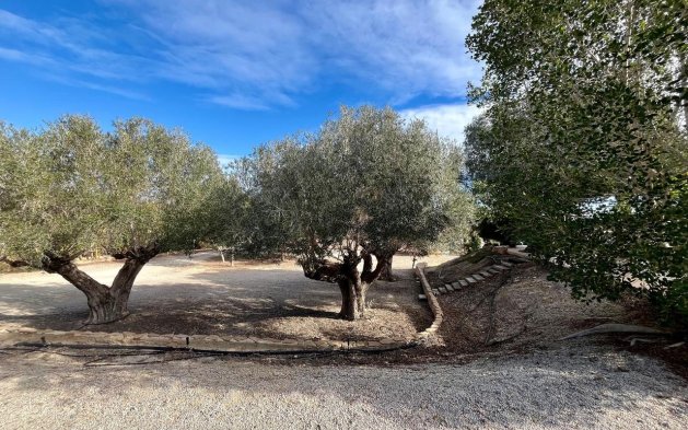 Perpardavimas - Vila - El Esparragal