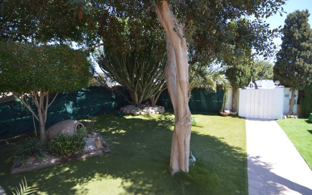 Begagnad - Villa - Torrevieja