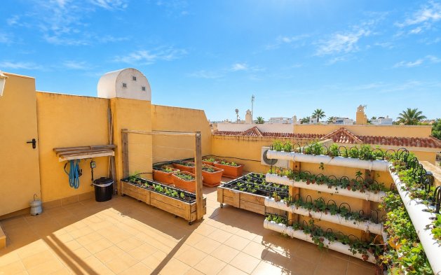 Herverkoop - duplex - Rojales - Ciudad Quesada