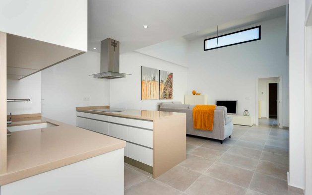 Nauja statyba - detached - Daya Nueva