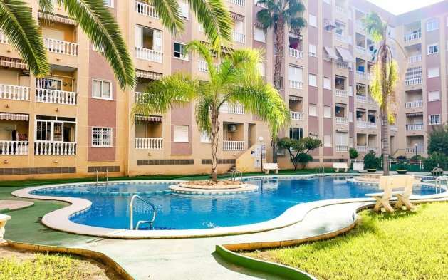 Perpardavimas - Butas - Torrevieja