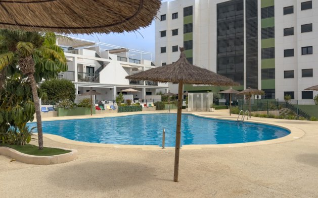 Resale - Apartment / flat - Pilar de la Horadada - Mil Palmeras