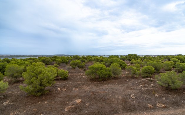 Resale - Apartment / flat - Torrevieja - La Siesta - El Salado -  Torreta