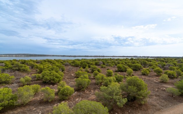 Resale - Apartment / flat - Torrevieja - La Siesta - El Salado -  Torreta