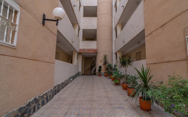 Resale - Apartment / flat - Torrevieja - La Siesta - El Salado -  Torreta