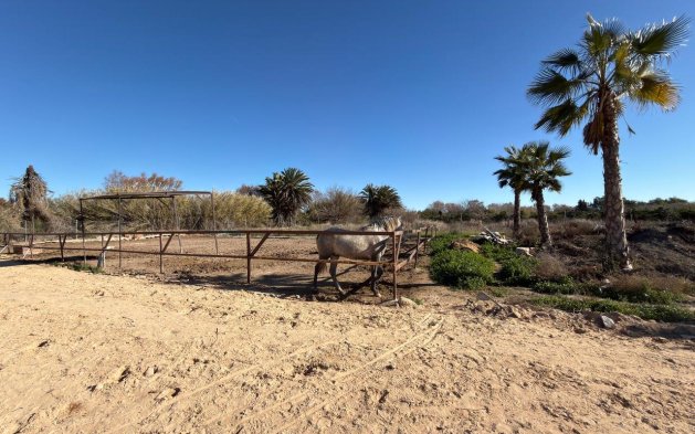 Videresalg - Parcela - Algorfa