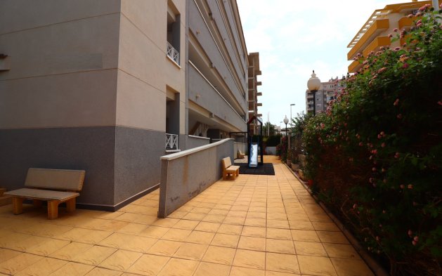 Reventa - Apartamento / piso - Guardamar del Segura