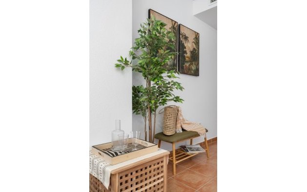 Återförsäljning - Lägenhet / lägenhet - Guardamar del Segura