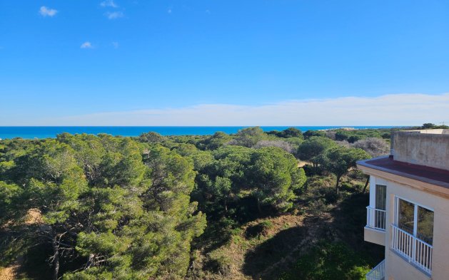 Reventa - Apartamento / piso - Guardamar del Segura