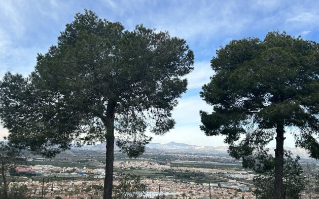 Resale - Apartment / flat - Rojales - Ciudad Quesada