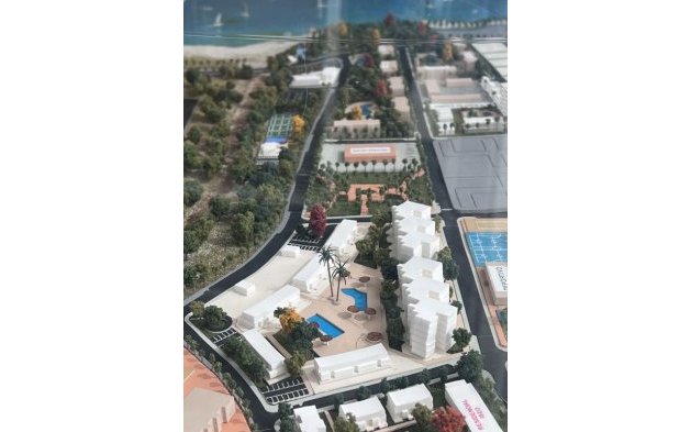 Nouvelle construction - Appartement - Pilar de la Horadada