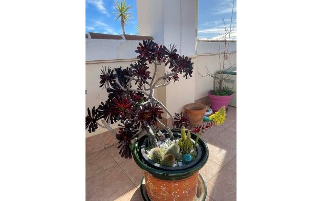 Resale - Apartment / flat - Orihuela Costa - Los Altos