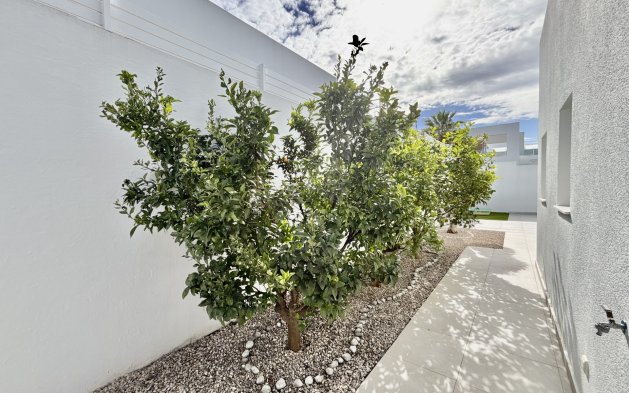 Nauja statyba - Vila - Benijofar