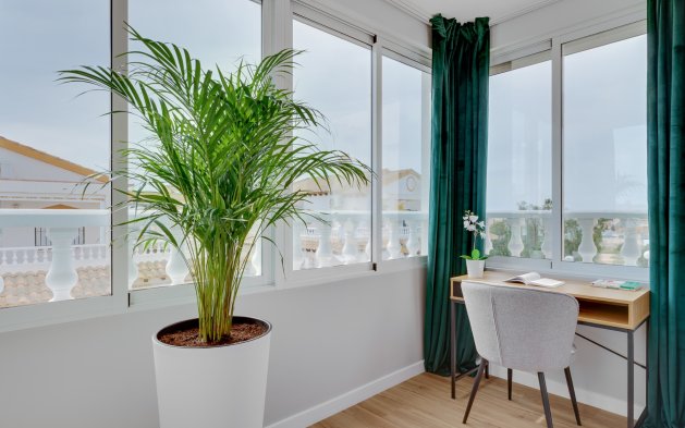 Perpardavimas - Dvipusis - Orihuela Costa