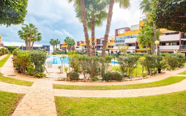 Resale - Apartment / flat - Orihuela Costa - Playa Flamenca