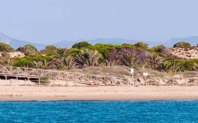 Nieuwbouw Woningen - Penthouse - Guardamar del Segura