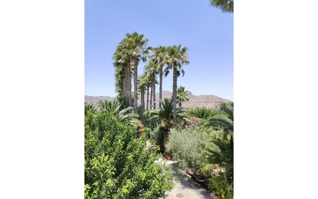 Resale - Villa - Orihuela