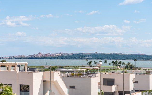 New Build - Villa - Rojales - Ciudad Quesada