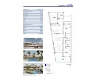New Build - Apartment / flat - Pilar de la Horadada
