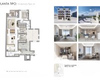 New Build - Apartment / flat - Guardamar del Segura