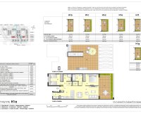 Nowy budynek - Penthouse - Torrevieja